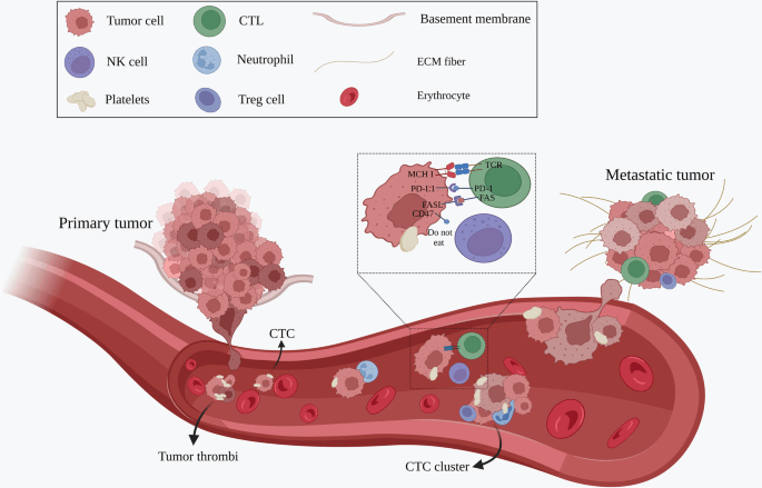 Biomarker for the Detection of Tumor Cells in Cervical Cancer