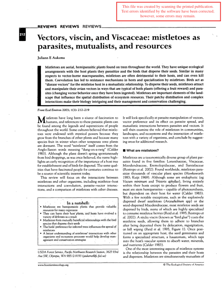 Use of Mistletoe Seed Viscina